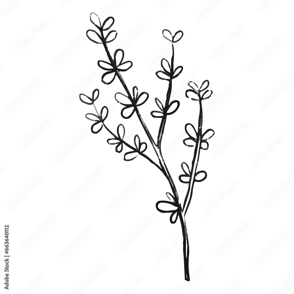 Herbs Element Herbs Element