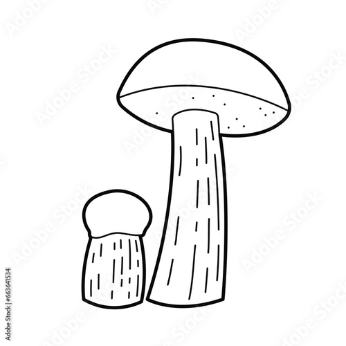 Mushroom - orange cap boletus, spongy mushroom. Vector black white outline illustration. Design elements or page of children's coloring book.