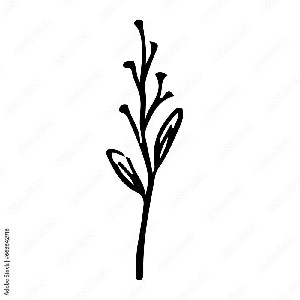 Floral Hand drawn Element Floral Hand drawn Element