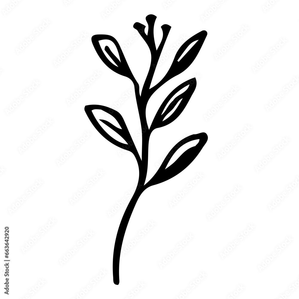 Floral Hand drawn Element Floral Hand drawn Element