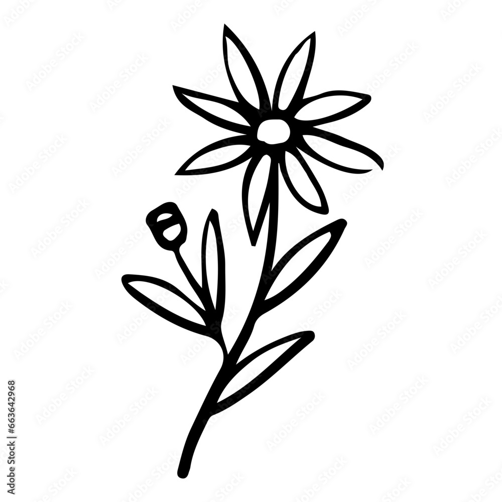 Floral Hand drawn Element Floral Hand drawn Element
