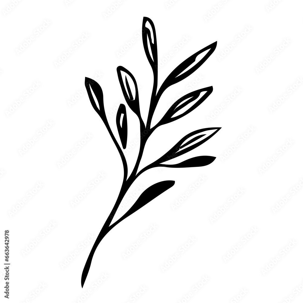 Fototapeta premium Floral Hand drawn Element