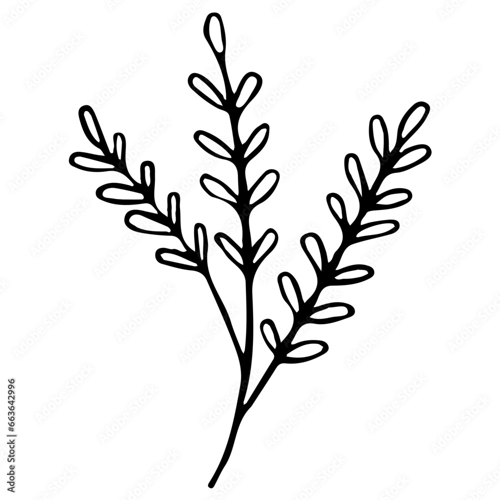 Fototapeta premium Floral Hand drawn Element