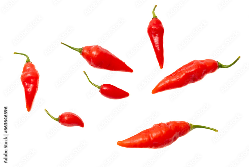 Red chili peppers isolated white background. Close-up Red chili peppers isolated white background. Close-up