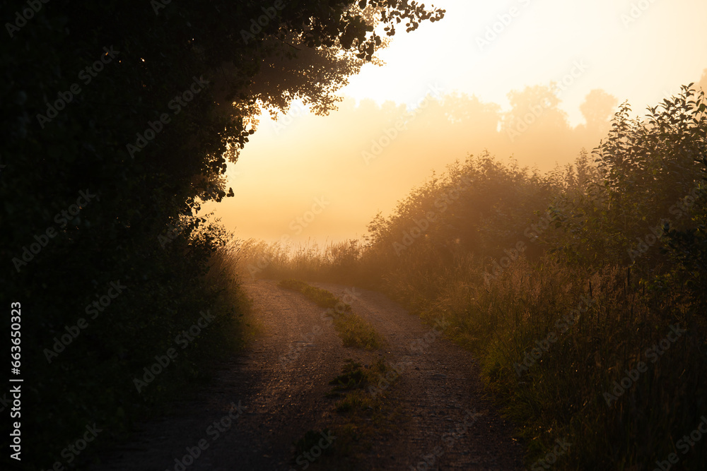 Golden Serenity: Majestic Rural Summer Landscape Awakens at Sunrise in Northern Europe
