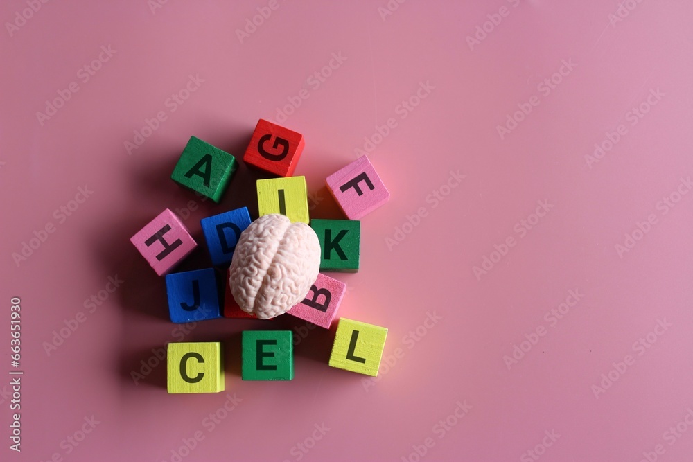 Human brain surrounded by alphabet blocks on a pink background with copy space. Montessori education and literacy concept. - obrazy, fototapety, plakaty 