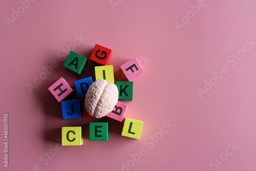 Human brain surrounded by alphabet blocks on a pink background with copy space. Montessori education and literacy concept. photo