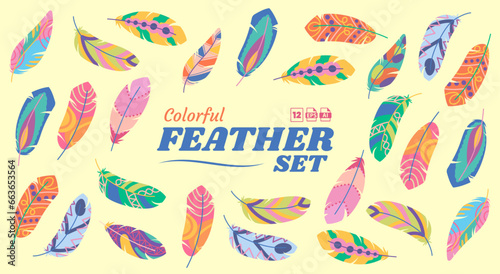 Colorful Feather Set