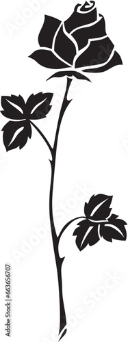 rose2181023a