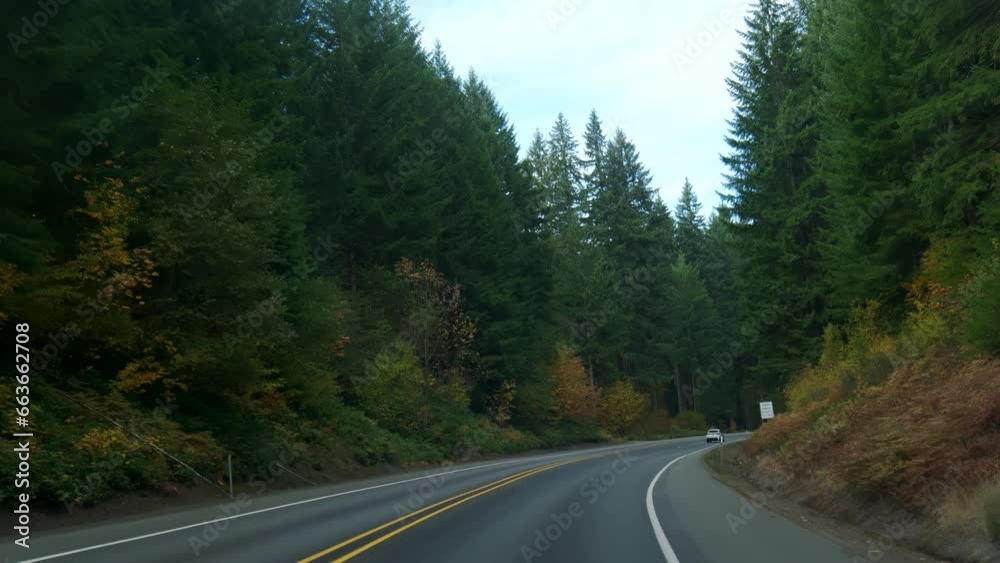 Pov view of Driving Country Highway Lined By Green Forests in Oregon . Wide shot Pov view of Driving Country Highway Lined By Green Forests in Oregon . Wide shot