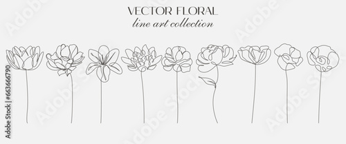 Continuous Line Drawing Set Of Plants Black Sketch of Flowers Isolated on White Background. Flowers One Line Illustration. Minimalist Prints Set. Vector EPS 10. 