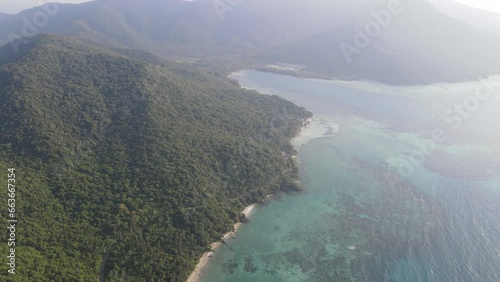 Wallpaper Mural Aerial view of tropical forest in Karimunjawa island, Indonesia, above trees and nature forest top down view Torontodigital.ca