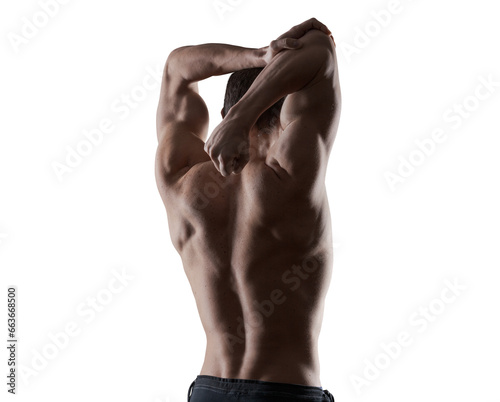 Attractive muscular sensual man posing back view