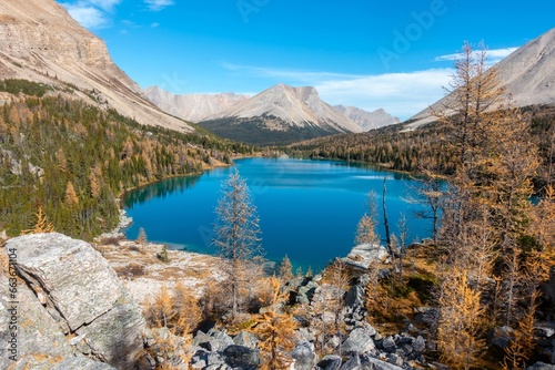 Beautiful Lower Skoki Lake High Angle View. Scenic Autumn Colour Change Landscape. Golden Larch Trees, Canadian Rocky Mountains Banff National Park