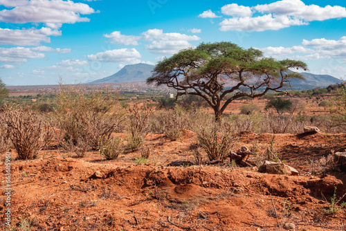 Scenic view of arid landscapes with acacia trees against sky at Tsavo West National Park, Kenya