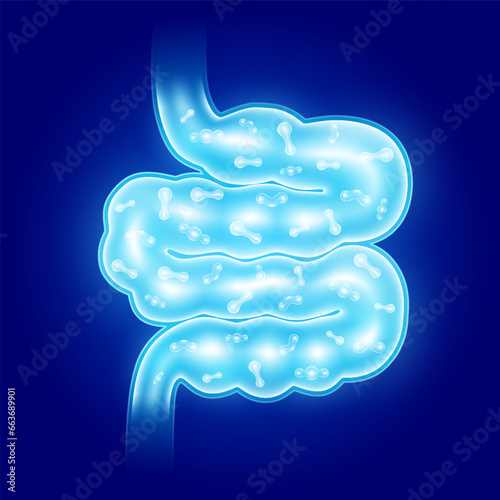 Probiotics blue inside small intestine. Good bacterial flora for stomach and intestine for designing dietary supplements healthy nutrition. Biology lactobacillus. Health care immunity support. Vector.