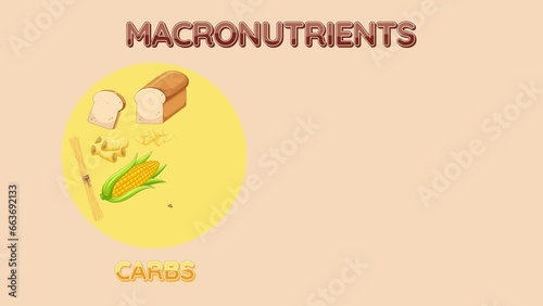 Animation showcasing a circle divided by macronutrients: carbohydrates, fat, and protein.