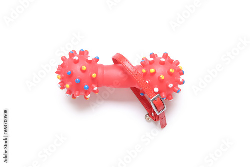 Pet collar and rubber toy o...