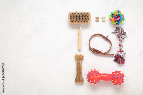 Composition with pet care accessories on light background