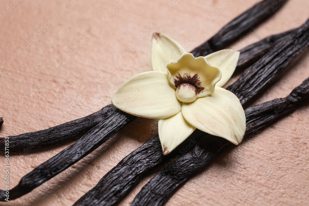 Fototapeta premium Aromatic vanilla sticks and flower on pink background