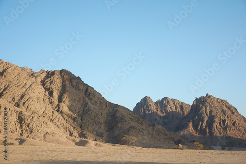 Egyptian Mount