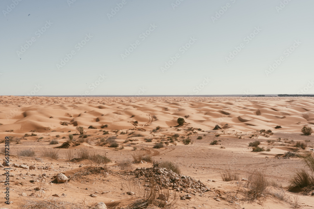 Sahara desert Sahara desert