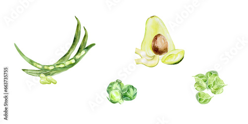 WAtercolor green vegetables set. Avocado , spinach, green beans and brussels sprouts collection for menu, restaurant, kitchen, cafe design. Traditional vegetarian food, isolated