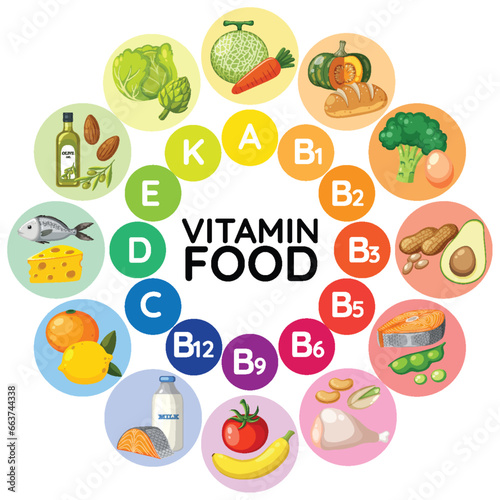 Variety of Food Groups Classified by Vitamin Content
