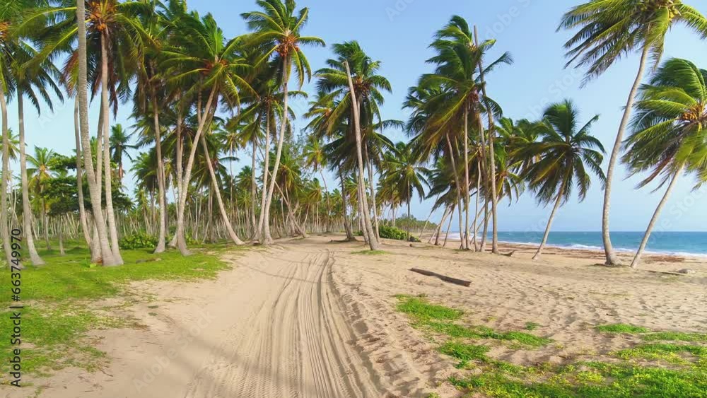 Tall palm trees on white sand and turquoise sea on a beautiful tropical beach. Paradise in the Seychelles. Anse Georgette's dream beach on Praslin. Travel and recreation at sea. Tall palm trees on white sand and turquoise sea on a beautiful tropical beach. Paradise in the Seychelles. Anse Georgette's dream beach on Praslin. Travel and recreation at sea.