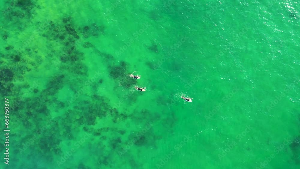 Drone aerial view of three surfers paddle over ocean reef sand channel boards wetsuit surfing Wamberal Central Coast NSW Australia 4K Drone aerial view of three surfers paddle over ocean reef sand channel boards wetsuit surfing Wamberal Central Coast NSW Australia 4K