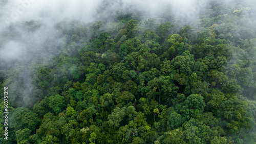 Aerial view misty foggy mountain landscape with tropical rain forest Forest in the valley in the morning is very foggy.