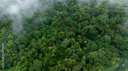 Aerial view misty foggy mountain landscape with tropical rain forest,Forest in the valley in the morning is very foggy. © Darunrat