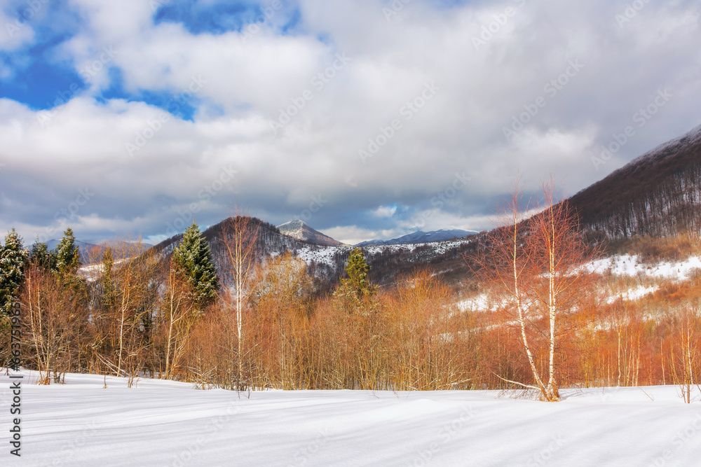 mountainous nature landscape in winter. snow covered hills with leafless trees