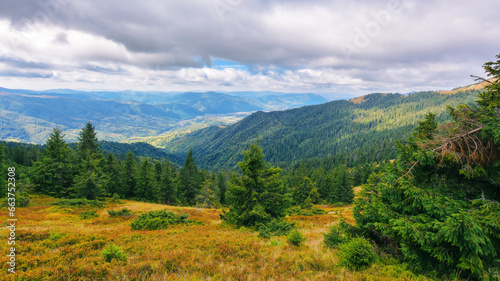 grassy meadow with forested hills. beautiful carpathian mountain landscape on a sunny day in autumn. distant ridge beneath a sky with clouds © Pellinni