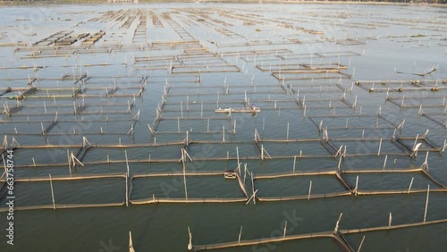 Aerial sunset view of cultivate fish on the lake such as cat fish is alternative to divers the food nutrition. photo