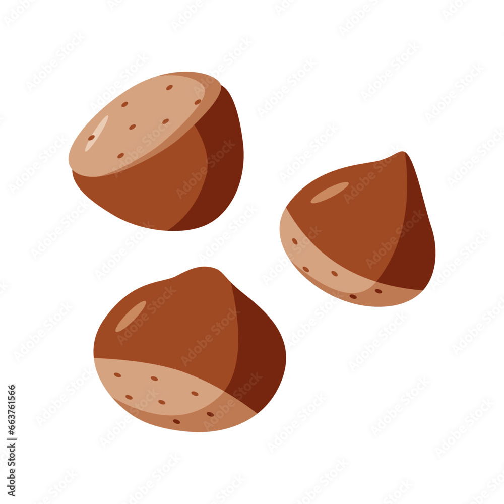 Fototapeta premium Chestnut vector illustration. Cartoon drawing of chestnut nuts in a shell. Isolated on white.