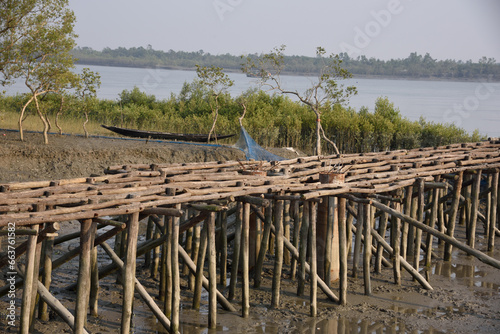 Bamboo stilt jetty, Pakhiralay, Gosaba, Sunderban, South 24 Pargana, West Bengal, India photo