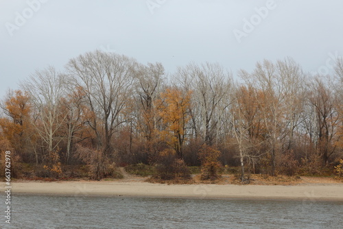 autumn landscape: trees along the shore on the other side of the river