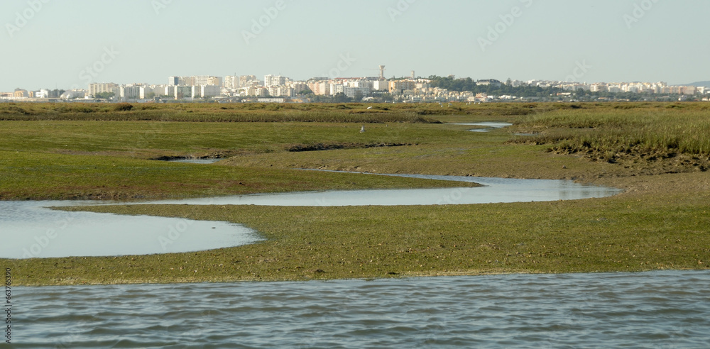 Ria nature zone near Faro, Algarve - Portugal