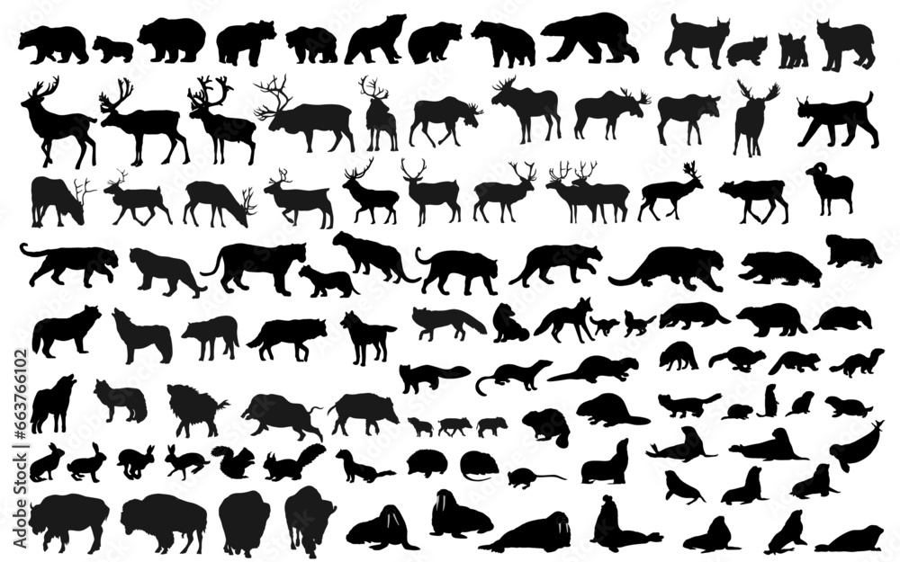 North forest, fields and sea animal silhouettes set. More than 100 silhouettes. Vector illustration.