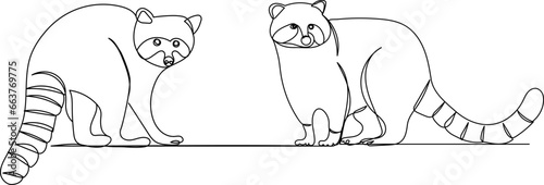 raccoons outline, sketch isolated vector