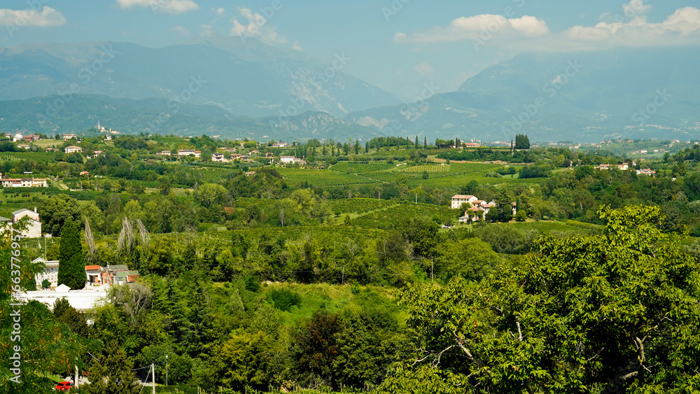 I vigneti del Prosecco nella regione di Valdobbiadene in provincia di Treviso. Veneto, Italia