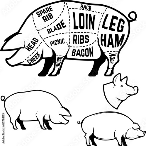 Butcher diagram, scheme and guide - Pork cuts.  Set of pig silhouettes isolated on white background