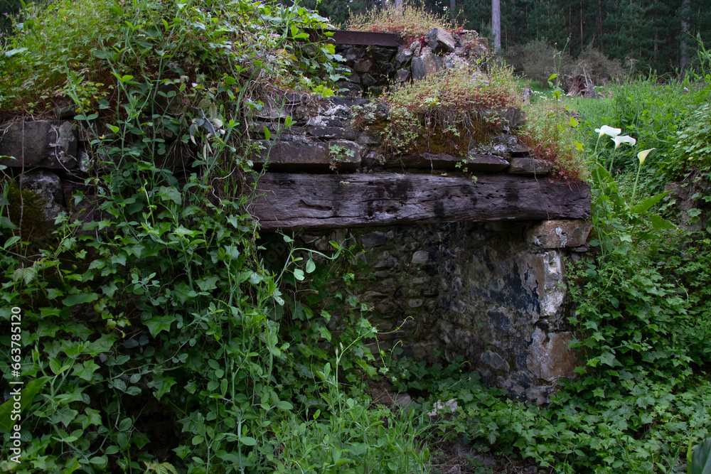 Ruins of an old house in a green forest, overgrown with grass, empty fireplace, power of nature Ruins of an old house in a green forest, overgrown with grass, empty fireplace, power of nature