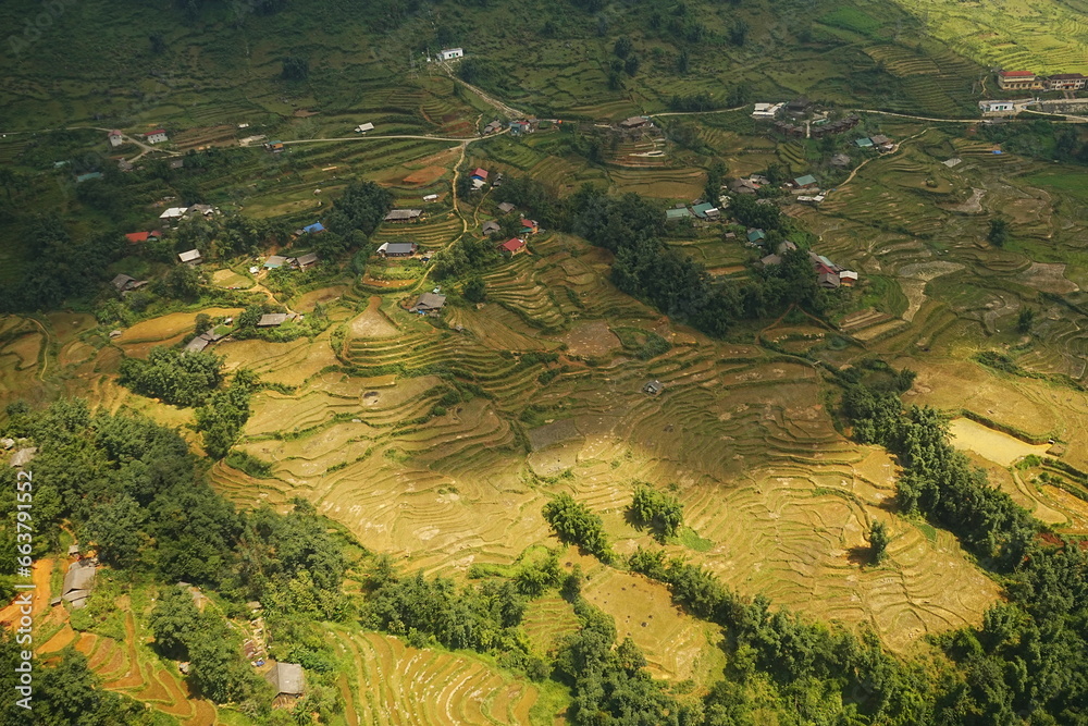 Amazing Rice Paddy or Rice Field in Muong Hoa Valley or Thung Lung Muong Hoa, Sapa, Vietnam - ベトナム サパ 棚田