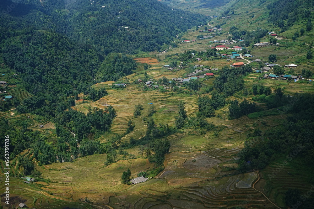 Fototapeta premium Amazing Rice Paddy or Rice Field in Muong Hoa Valley or Thung Lung Muong Hoa, Sapa, Vietnam - ベトナム サパ 棚田
