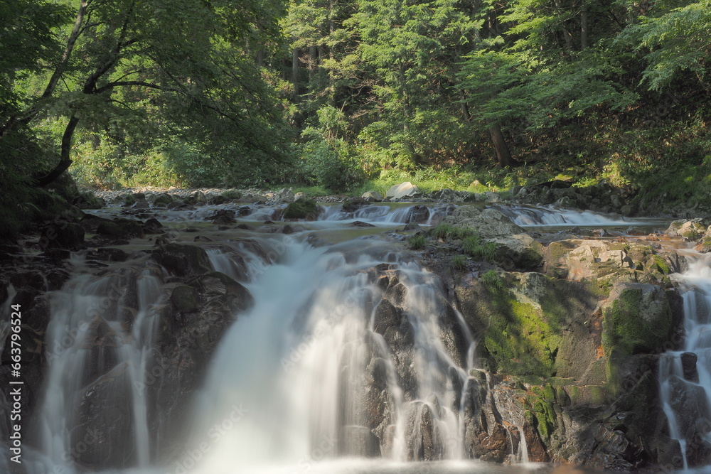 Obraz premium 滝ヶ野の滝