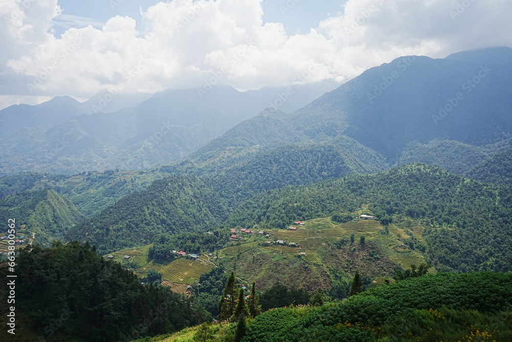 Amazing Rice Paddy or Rice Field in hidden Mountain, Sapa, Vietnam - ベトナム サパ 棚田