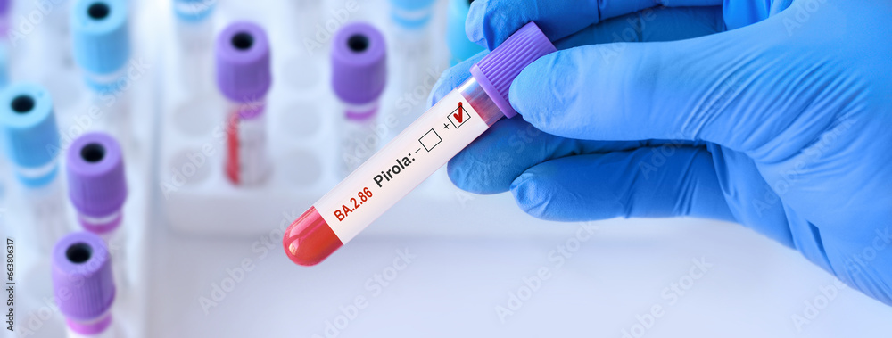 Naklejka premium Doctor holding a test blood sample tube for the detection of the BA.2.86 Pirola on the background of medical test tubes.New Covid 19 Pirola Variant