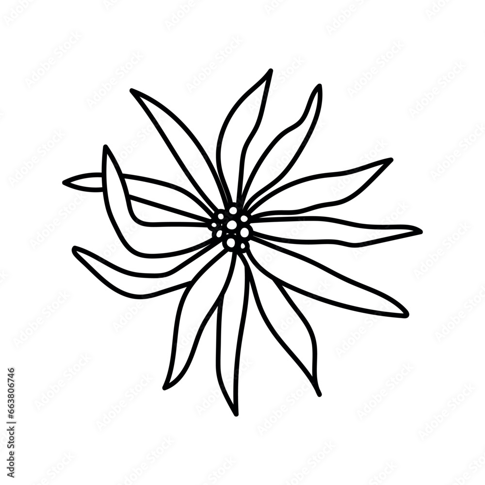 Single hand drawn daisy. Vector illustration in doodle style. Isolate on a white background. Single hand drawn daisy. Vector illustration in doodle style. Isolate on a white background.